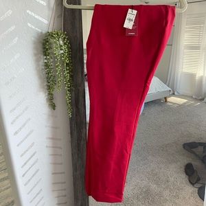 Express Dress Pants